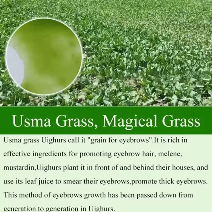 Eyebrow/Eyelash Serum